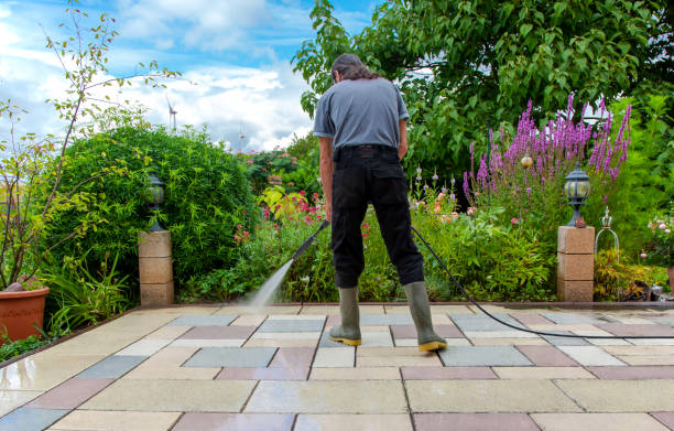 Best Brick and Stone Cleaning in Victoria, TX